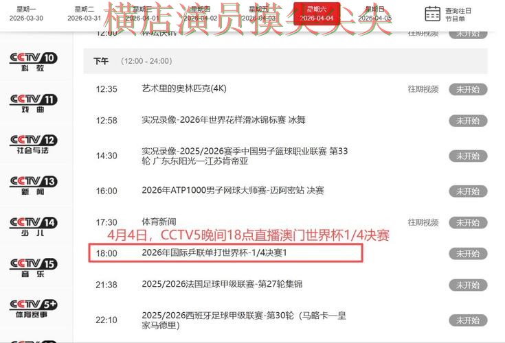 世界杯竞猜入口整理：聚焦平台排行与赛事直播体验 - 世界杯实时直播